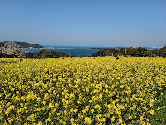 Nokonoshima Island Park