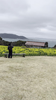 Nokonoshima Island Park