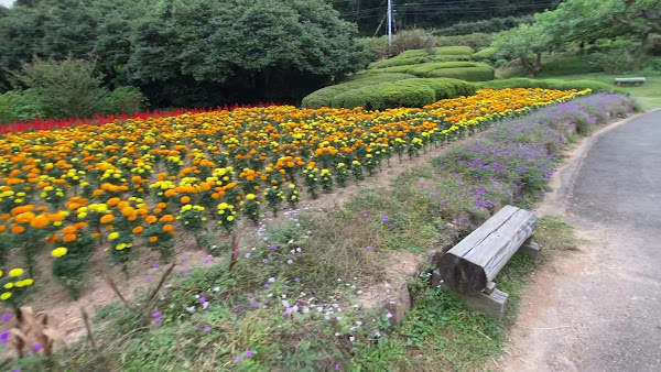Nokonoshima Island Park