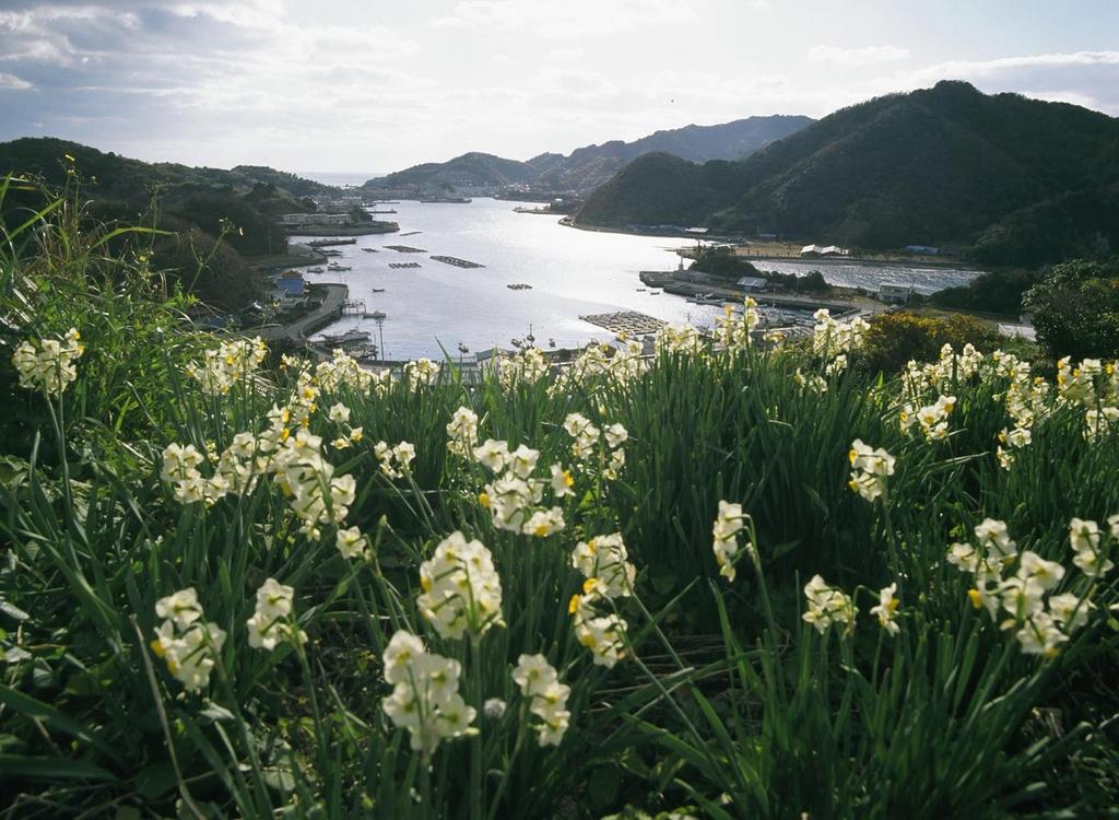 Nomo Peninsula