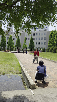 Noritake Garden