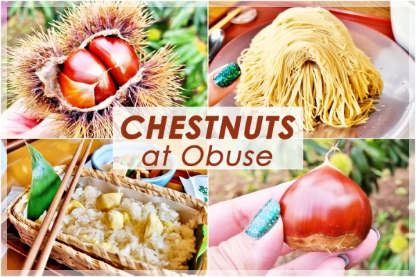 Obuse Chestnut Sweets