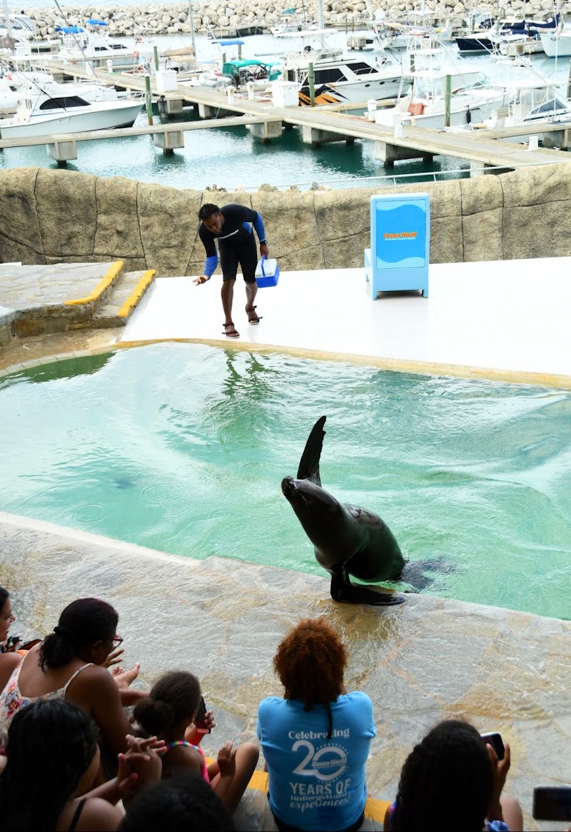 Ocean World Adventure Park