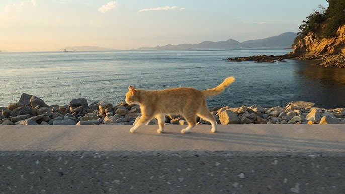 Ogijima (Cat Island)