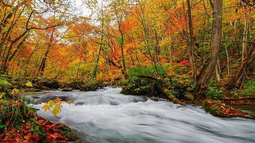 Oirase Gorge