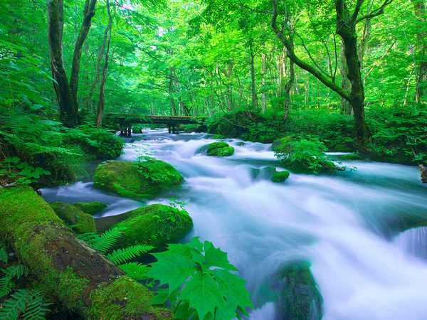 Oirase Gorge