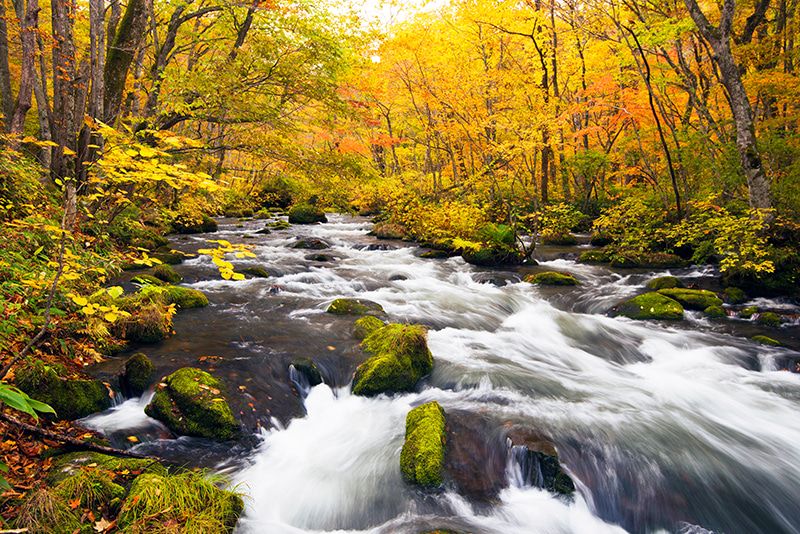 Oirase Gorge Autumn Colors