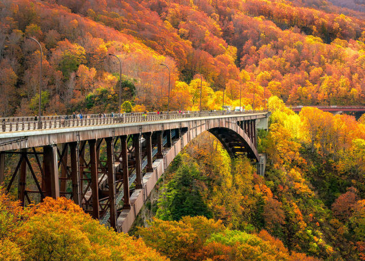 Oirase Gorge Autumn Colors