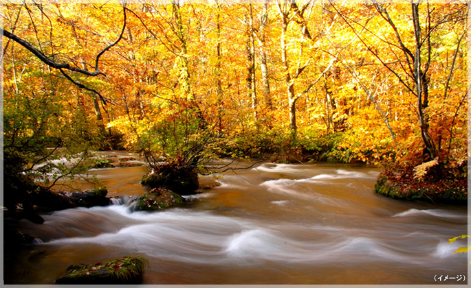 Oirase Gorge Autumn Colors
