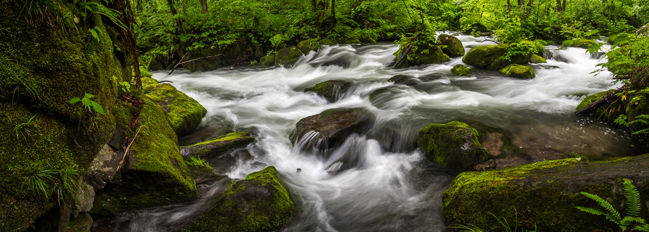 Oirase Gorge Mossy Stream Walk