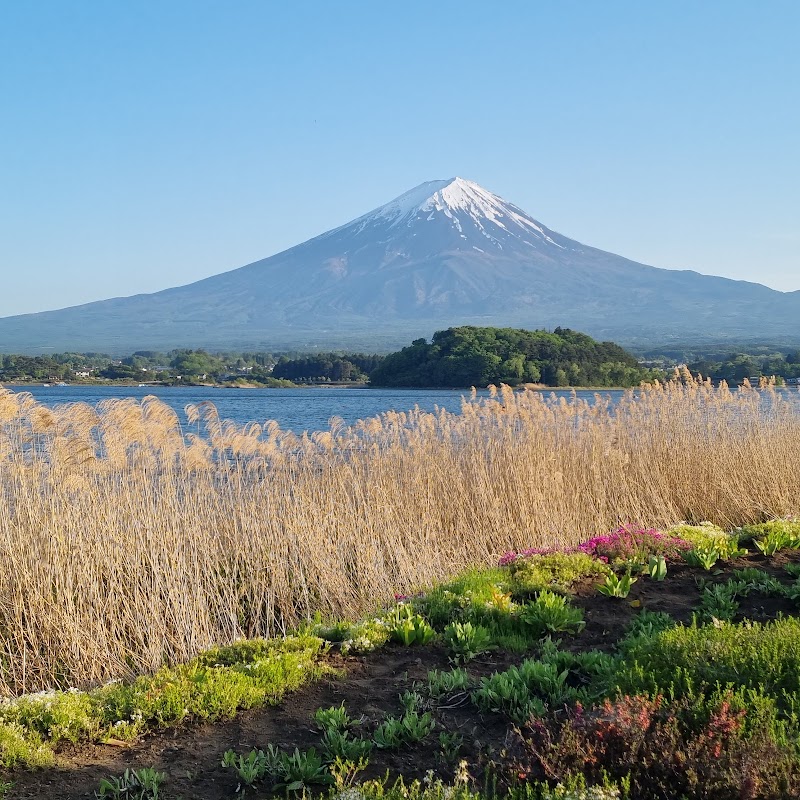 Oishi Park
