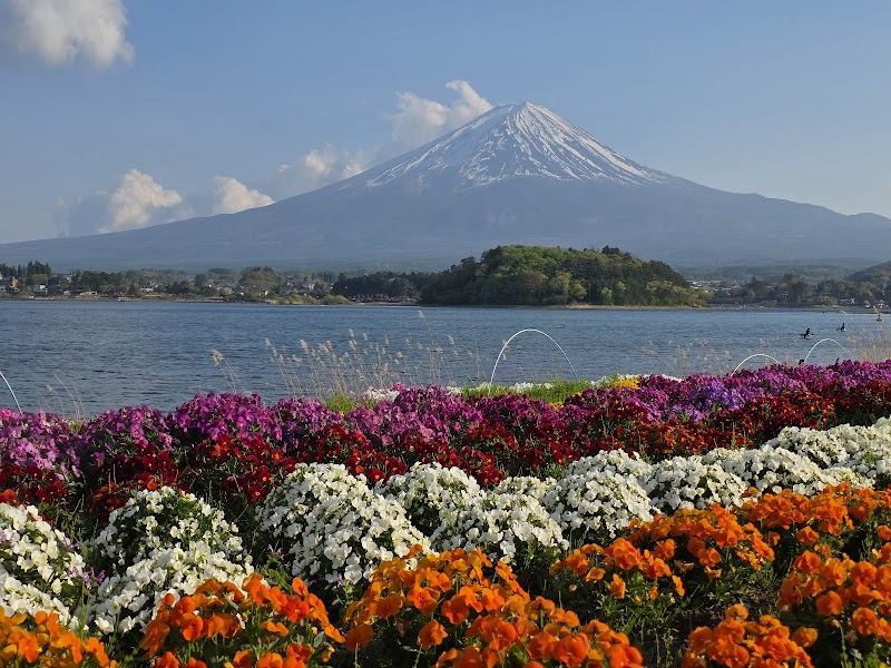 Oishi Park