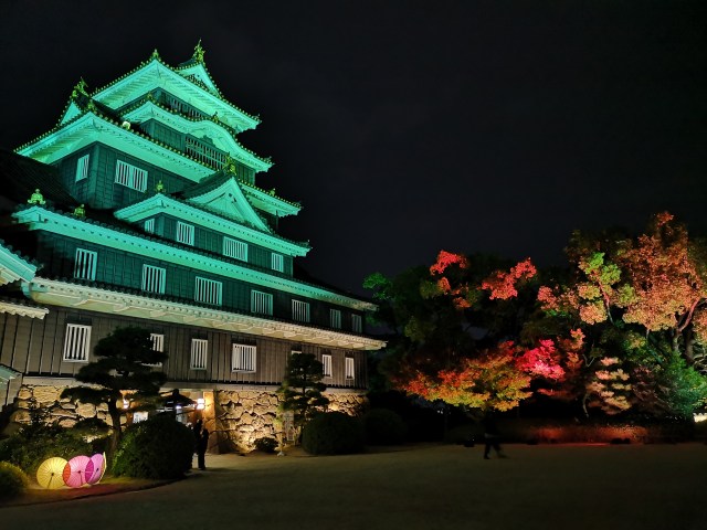 Okayama Castle Moonlight Viewing