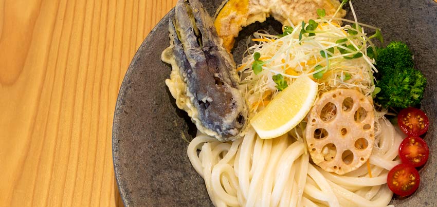Okayama Handmade Udon