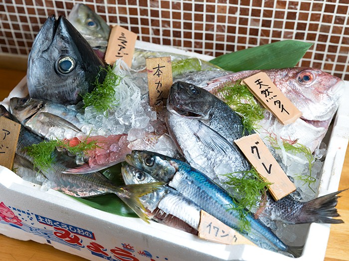 Okayama Izakaya (Local Seto Fish)