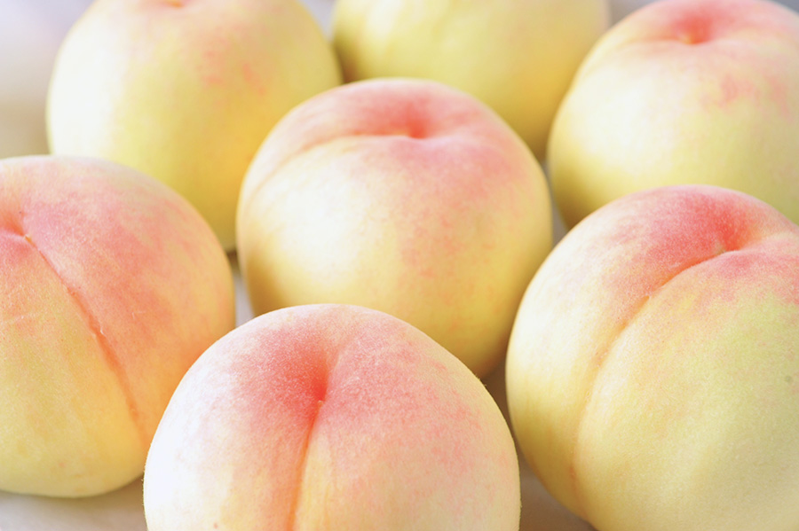 Okayama White Peach (Hakuto)
