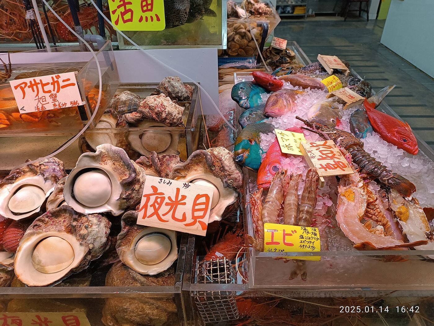 Okinawa Kokusai Street Makishi First