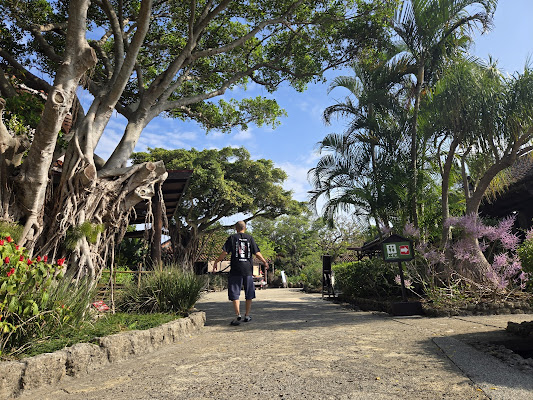 Okinawa World