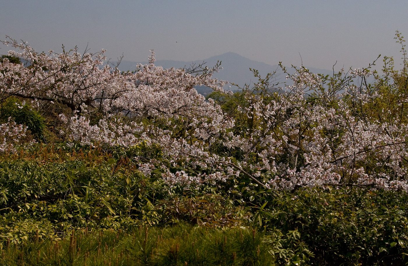 Okochi Sanso Villa