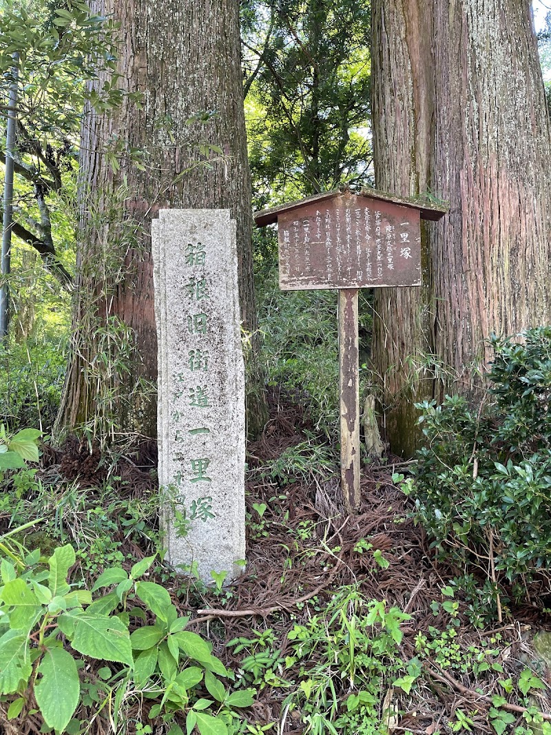 Old Tokaido Cedar Avenue
