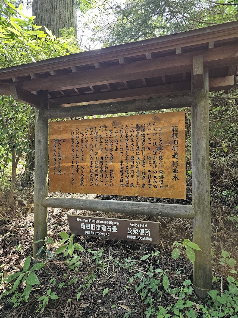 Old Tokaido Cedar Avenue