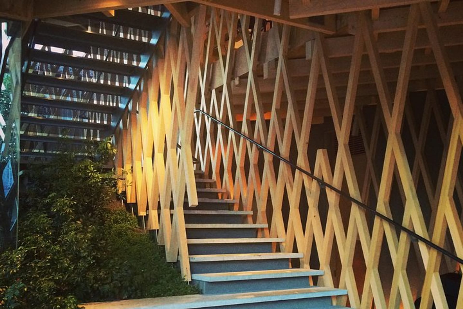 Omotesando Architecture Walk