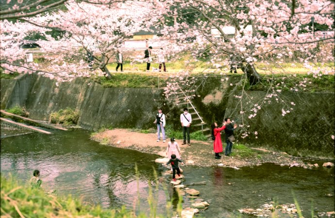 Omura Bay (Flower Park)