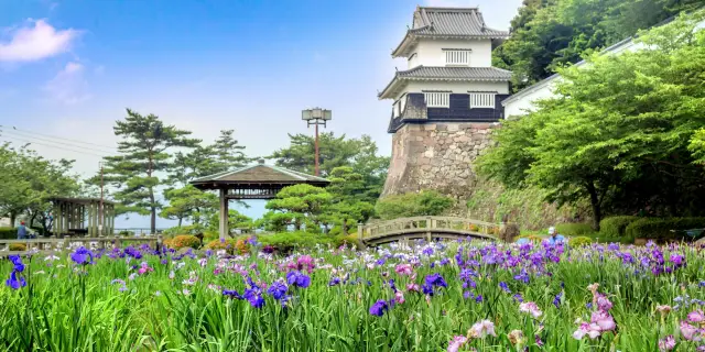 Omura Bay (Flower Park)
