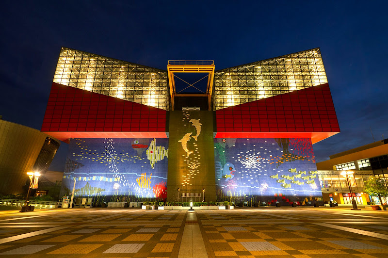 Osaka Aquarium Kaiyukan