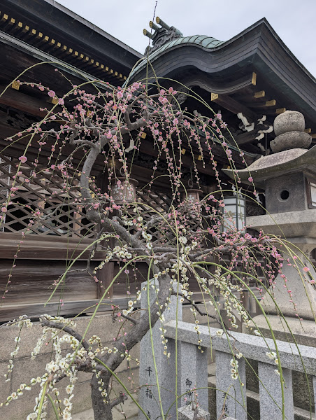 Osaka Tenmangu