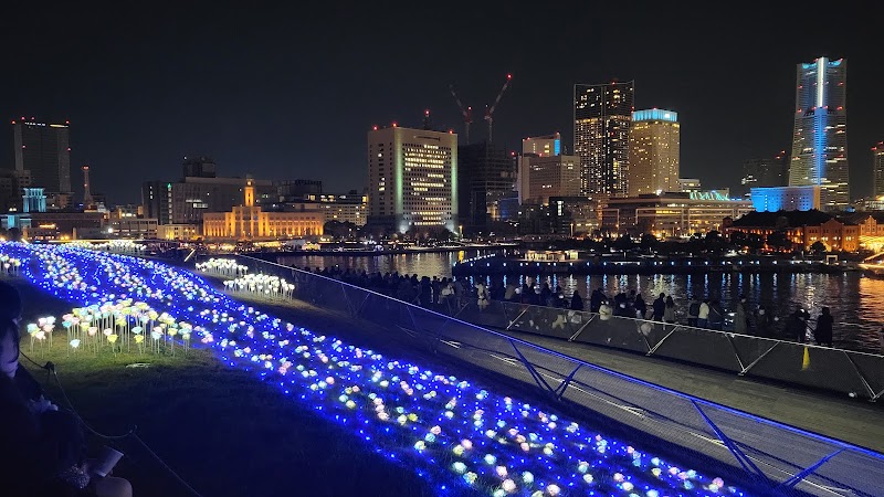 Osanbashi Pier