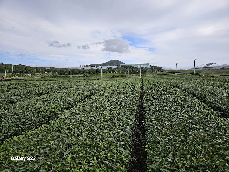O'Sulloc Tea Museum