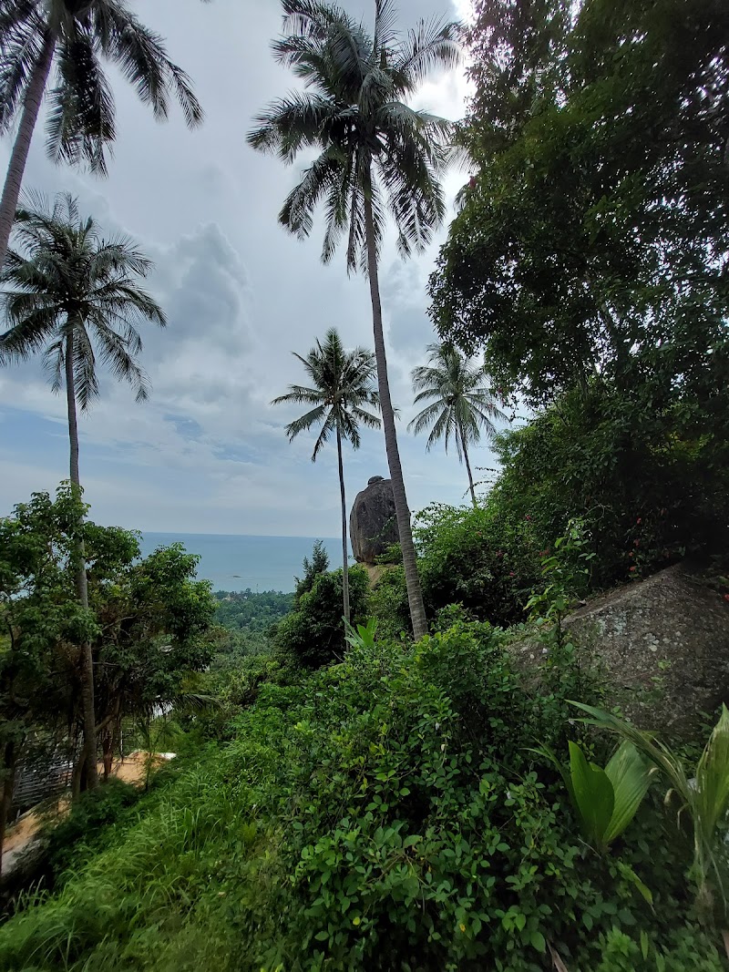 Overlap Stone Viewpoint