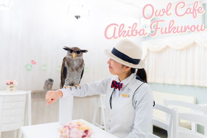 Owl Cafe Akihabara
