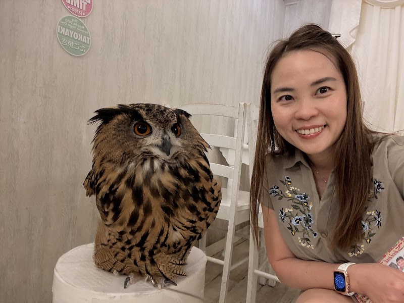 Owl Cafe Akihabara
