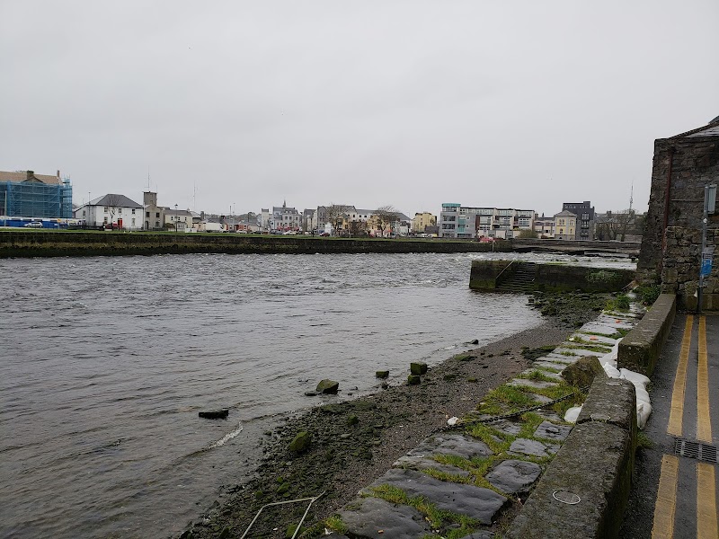 Oyster Culture