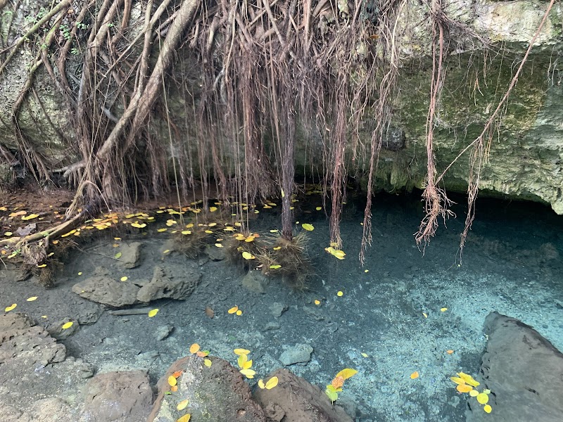 Padre Nuestro Cenote