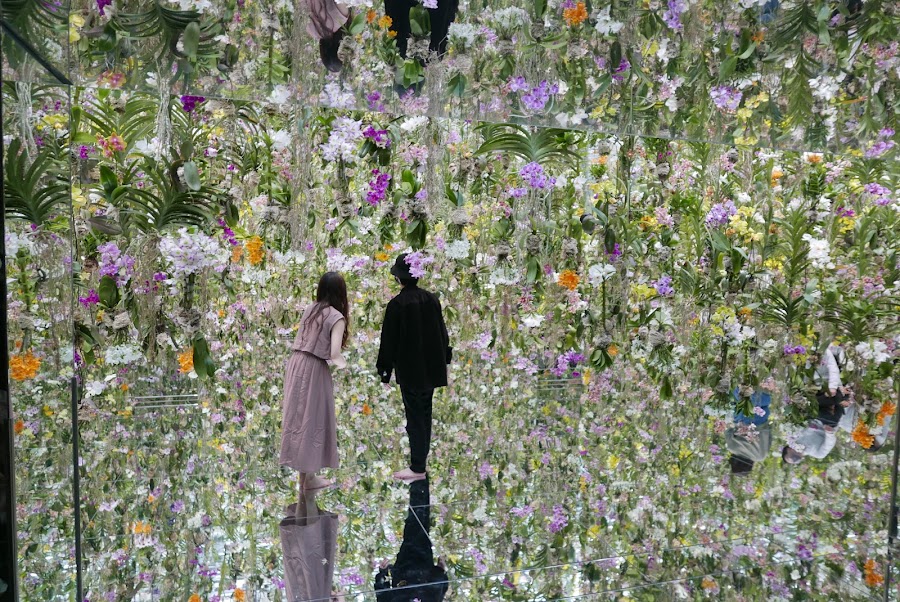 Palette Town / teamLab Wheel