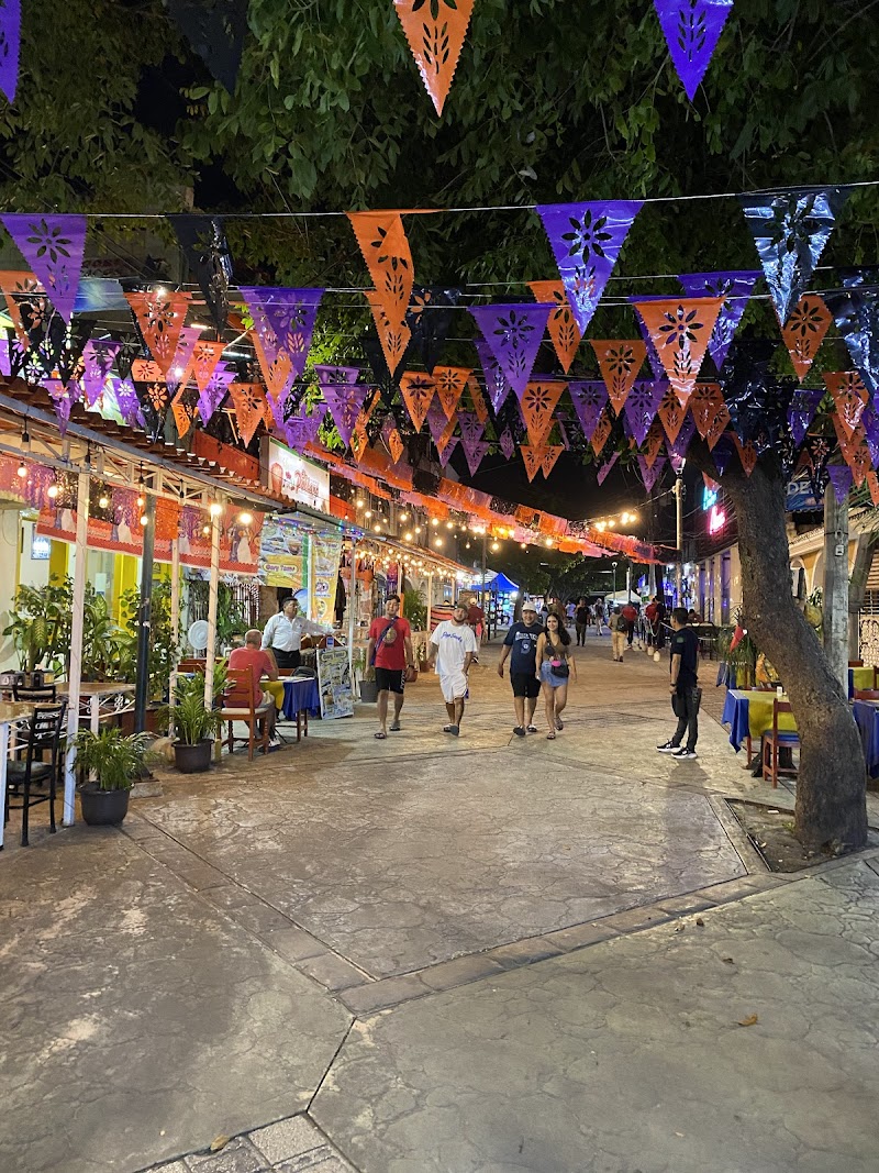 Parque de las Palapas