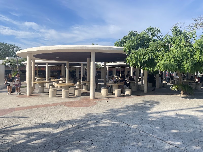 Parque de las Palapas