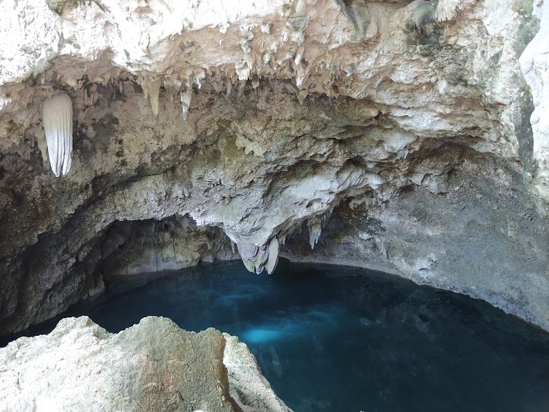 Parque Nacional El Choco