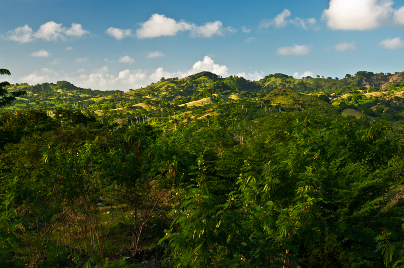 Parque Nacional El Choco