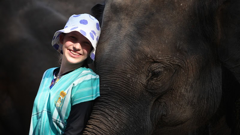 Patara Elephant Farm