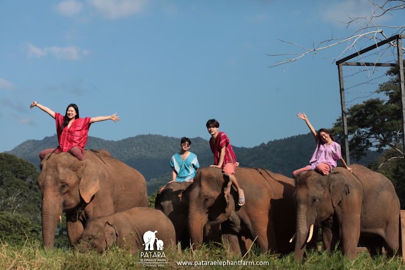 Patara Elephant Farm