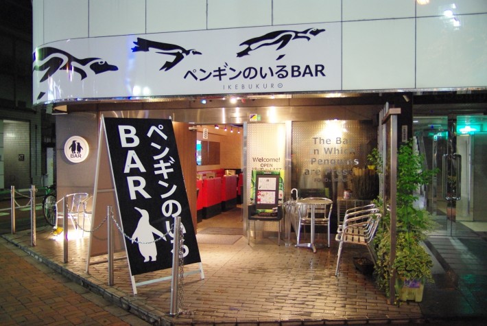 Penguin Bar