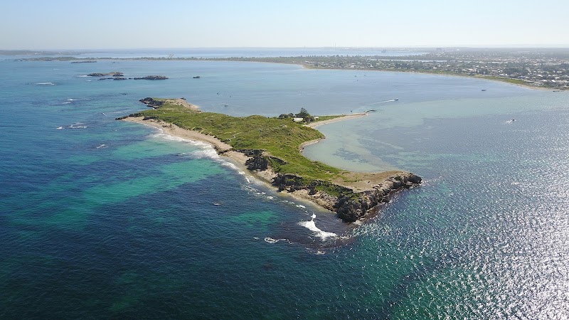 Penguin Island
