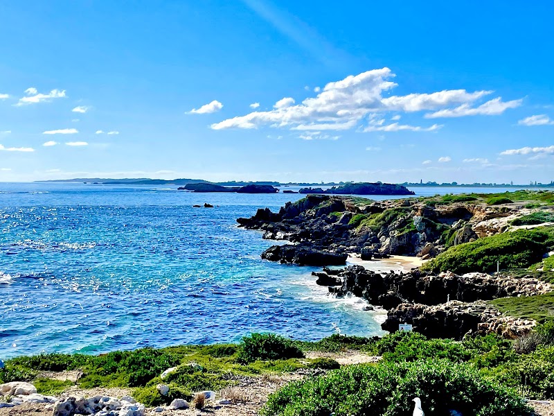 Penguin Island
