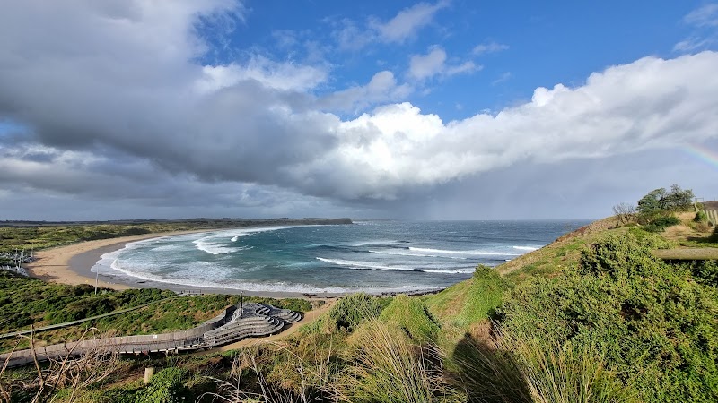 Phillip Island Penguin Parade