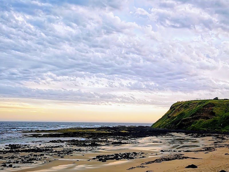 Phillip Island Penguin Parade