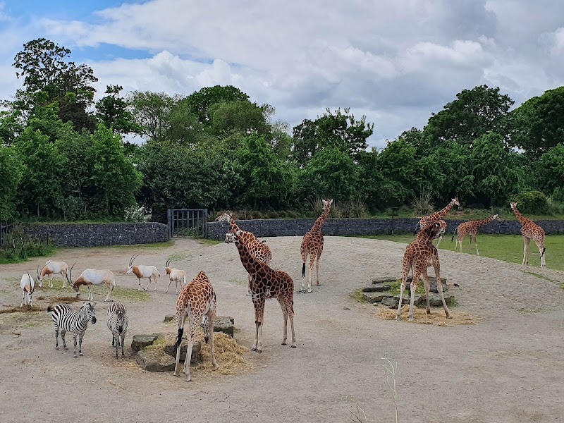 Phoenix Park